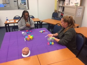 Ft. Myers Students Create Clay Brains - A - 7-18