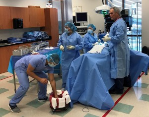 Keiser University – Tampa Surgical Technology students learn the importance of careful attention to detail while working as a team in the operating room.  Program Director Robert Young uses Keiser’s surgical technology laboratory to demonstrate how to prepare surgical equipment and assist in an operation.  Students receive instruction in essentials of healthcare, surgical instrumentation, anatomy, physiology, medical language and pharmacology.  Graduates are prepared to work closely with surgeons, anesthesiologists, registered nurses and other surgical personnel. These professionals help supply the operating room with the instruments, equipment and supplies needed during a surgical procedure.