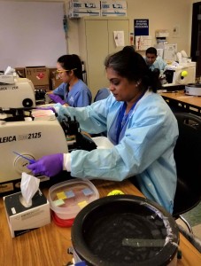 Orlando Histotechnology Program Students Enjoy Training Lab - C - 9-18 - A