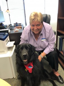 Orlando - OTA Students Welcome Buddy the Therapy Dog - 2-19