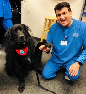 Orlando - OTA Students Welcome Buddy the Therapy Dog - C- 2-19