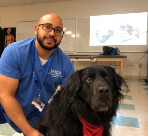 Orlando - OTA Students Welcome Buddy the Therapy Dog - E - 2-19