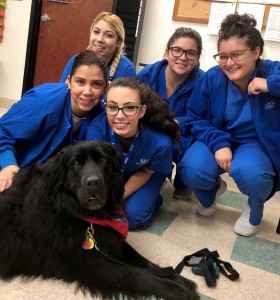 Orlando - OTA Students Welcome Buddy the Therapy Dog - H - 2-19