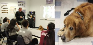 WPB - Criminal Justice Lesson - Tucker Canine - Two Images - 6-19