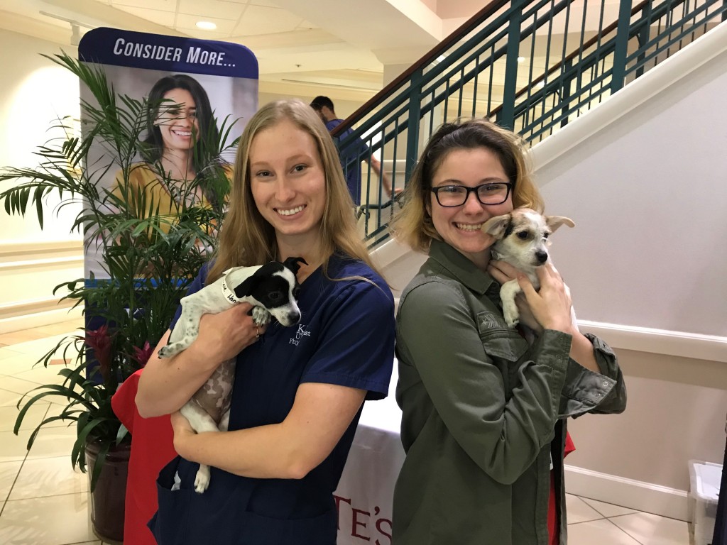 Keiser University Sarasota Honors Veterans and Active Military